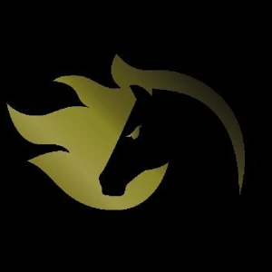 FiRe League